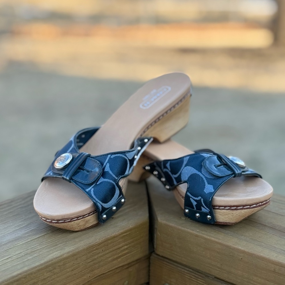Coach Blue and Tan Slide Sandals